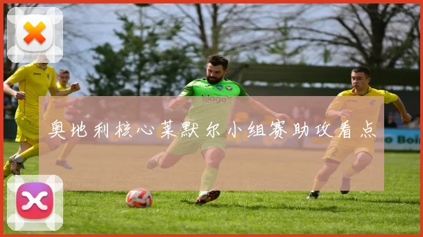 奥地利核心莱默尔小组赛助攻看点
