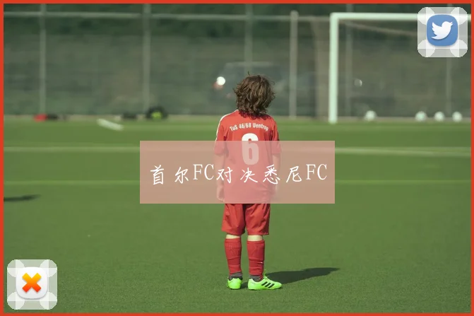 首尔FC对决悉尼FC