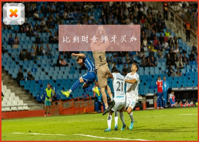 比利时会师牙买加