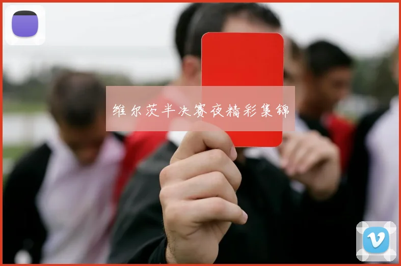 维尔茨半决赛夜精彩集锦