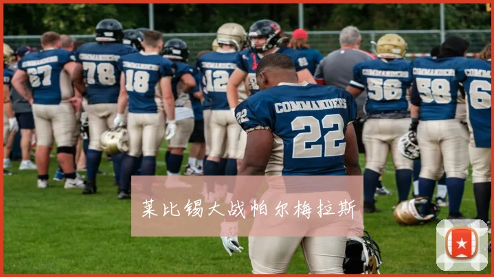莱比锡大战帕尔梅拉斯