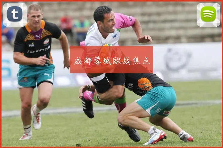 成都蓉城欧战焦点