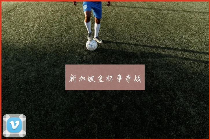 新加坡金杯争夺战
