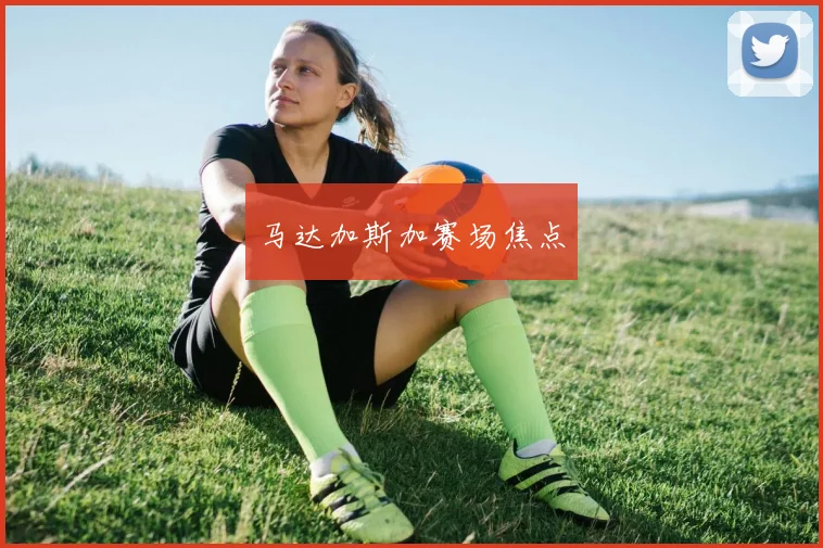 马达加斯加赛场焦点