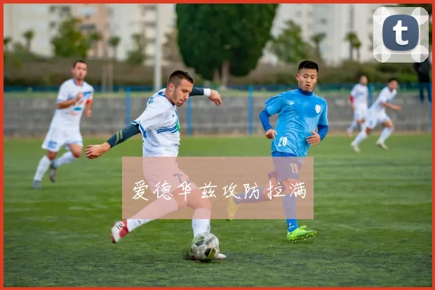 爱德华兹攻防拉满