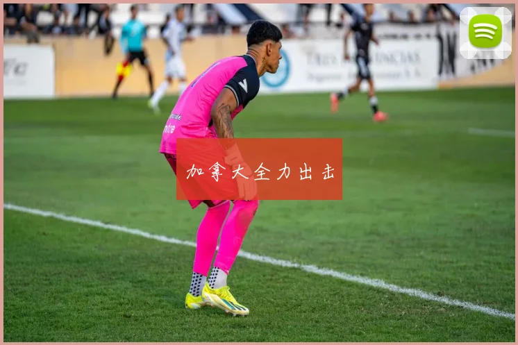 加拿大全力出击