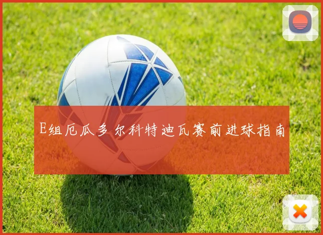 E组厄瓜多尔科特迪瓦赛前进球指南