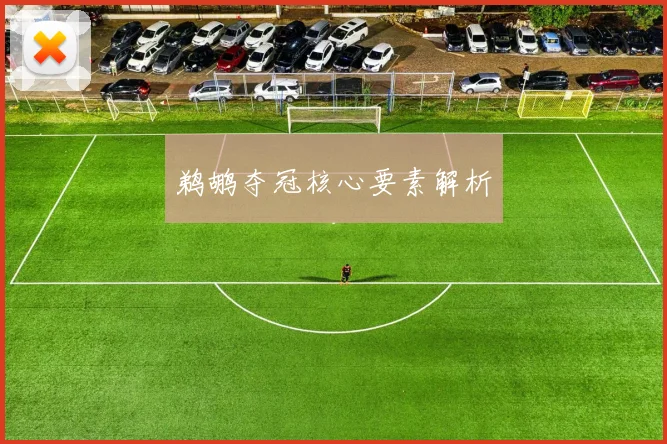 鹈鹕夺冠核心要素解析