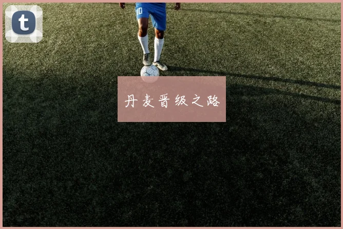 丹麦晋级之路