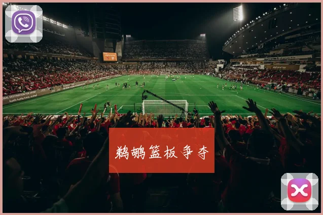 鹈鹕篮板争夺