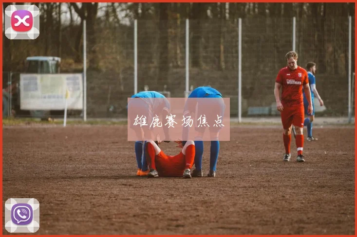 雄鹿赛场焦点