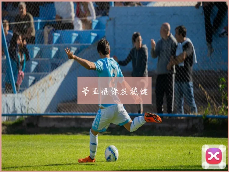 蒂亚福保发稳健