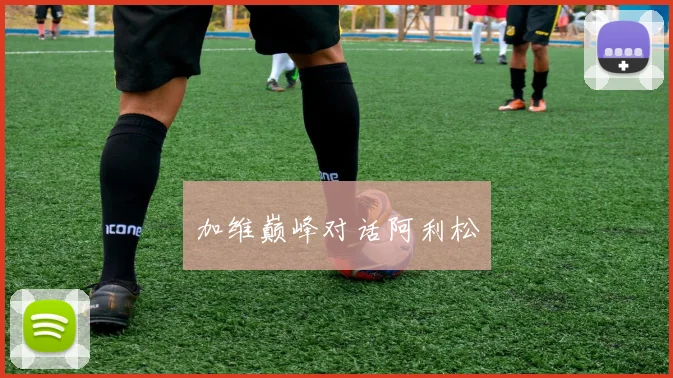 加维巅峰对话阿利松