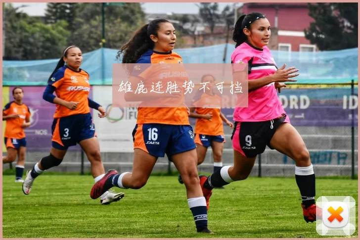 雄鹿连胜势不可挡