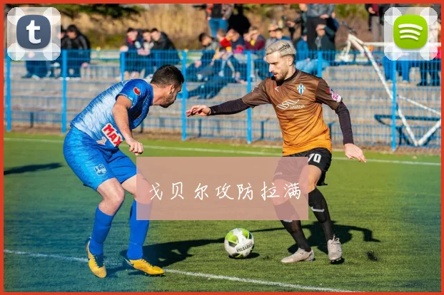 戈贝尔攻防拉满