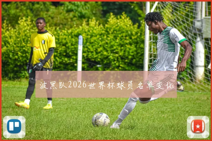 波黑队2026世界杯球员名单变化