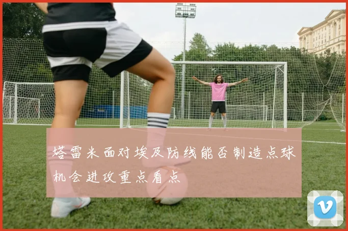 塔雷米面对埃及防线能否制造点球机会进攻重点看点